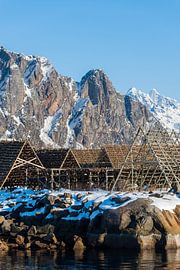 Echafaudage traditionnel en bois pour le séchage du poisson sur les îles Lofoten en hiver avec les m sur Robert Ruidl