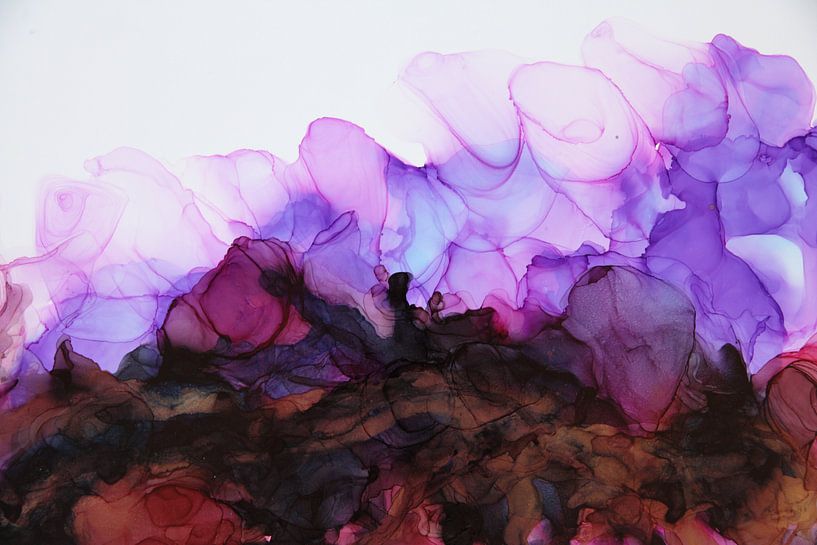Anemone coral/ Anemone coral/ Anemone coral/ Corail anémone/ by Joke Gorter