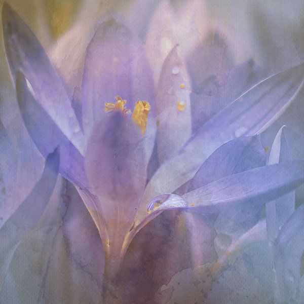 Painting the Spring van Maneschijn FOTO