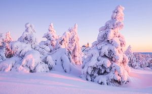 La Saint-Valentin au Fichtelberg sur Daniela Beyer