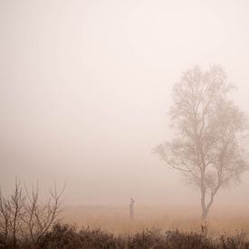 Eenzame berk in de mist sur Cindy Arts