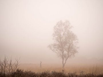 Eenzame berk in de mist