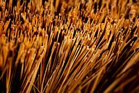 Macro photography