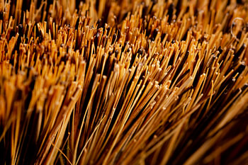 Macro photography