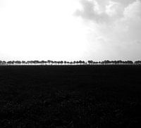 Bomen