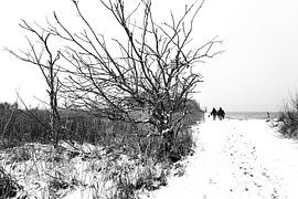 Weg zum Leuchtturm von Heiko Westphalen