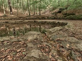Teichgrundquelle in Dresden von Jörg Hausmann