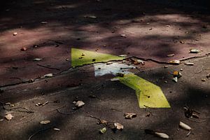 Real Life Still life colored arrow on the street by Lilian Bisschop