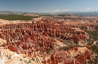 Bryce Canyon van Tineke Visscher thumbnail