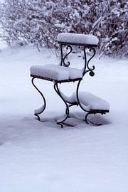 Graveyard bench in snow