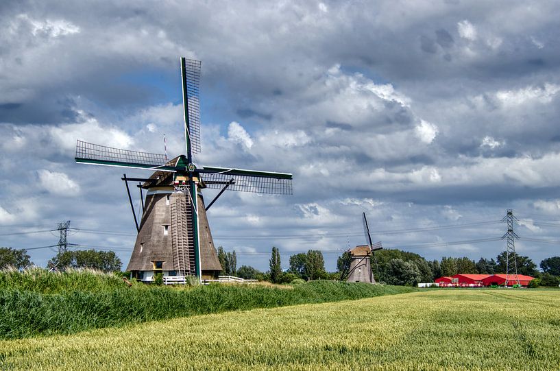 Mühlen bei Zevenhuizen von Magic moments