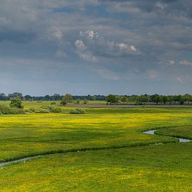 Meandering Reest in the Reest valley by Karla Leeftink