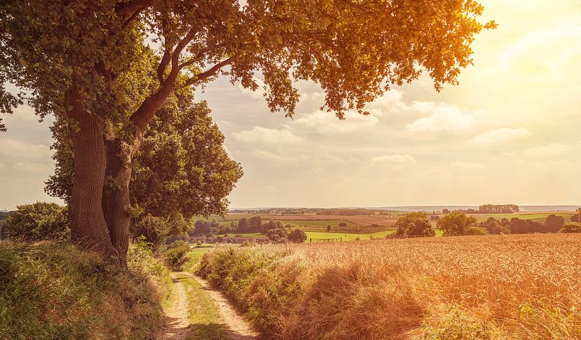 Zomerse avond in Simpelveld par John Kreukniet