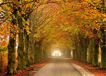 Radweg im Herbst von Caroline Lichthart