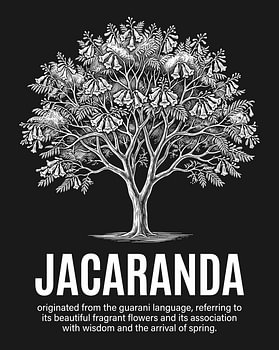 Affiche minimaliste représentant un jacaranda en dessin au trait - édition noire