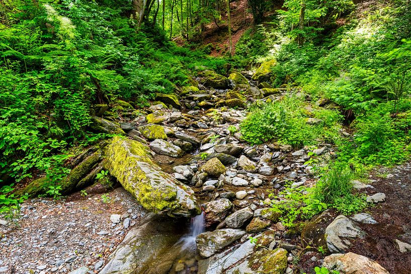 Vue des gorges romaines près de Velden am Woerthersee par Andreas Völkel