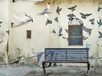 Mirage (India 2012)