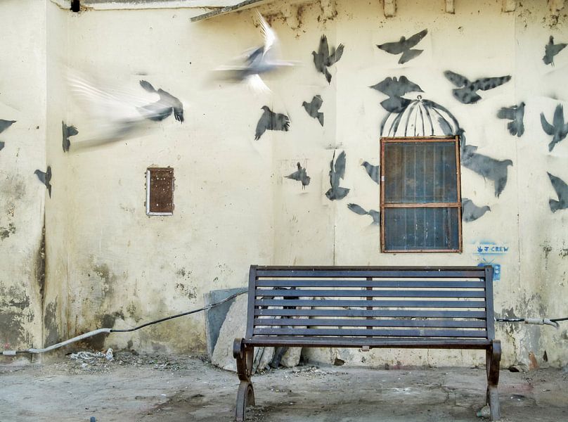 Mirage (India 2012) by Omri Raviv