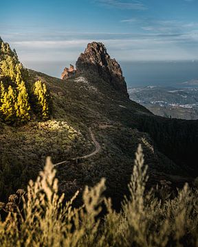 Wandelpad in de bergen van Gran Canaria van Justin T