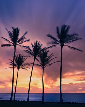Sonnenaufgang Kapaa-Strand, Kauai, Hawaii