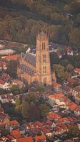 Zaltbommel stadsgezicht met Sint Maartenskerk