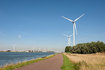 Koning Willem Alexander Boulevard Maassluis van Richard Wareham