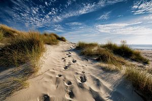 Sandspuren in den Dünen