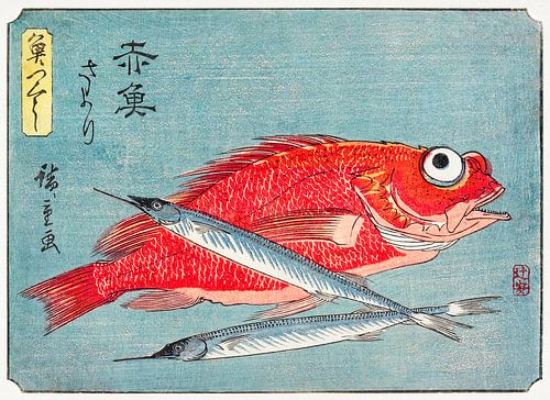 Art japonais ukiyo-e. Poisson japonais rouge et bleu par Utagawa Hiroshige.