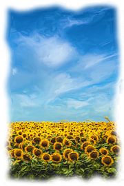 Sunflowers by Maurice Dawson