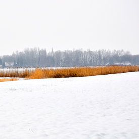 Fields in winter  sur Pim Feijen