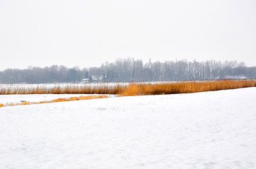Fields in winter  by Pim Feijen