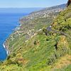 Madeira - Uitzicht op Arco da Calheta van Gisela Scheffbuch