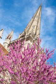 Kathedrale von Autun, Frankreich. Ideal als ArtFrame oder auf Leinwand.