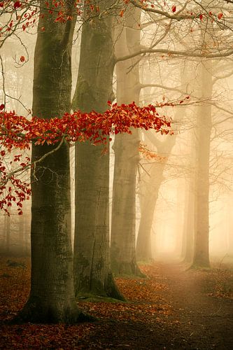 Jouw Weg Of The Snelweg