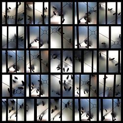 The Choreography of Everyday Life