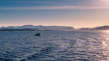 Vissersbootje en meeuwen in de Merr voor de kust van Noorwegen in de winter met besneeuwde bergen van Robert Ruidl
