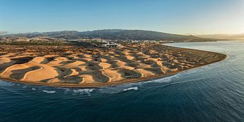 Dunes au bord de la mer au lever du soleil