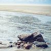 Pastelkleurige foto van keien gefotografeerd op het strand van Texel von Natascha Teubl