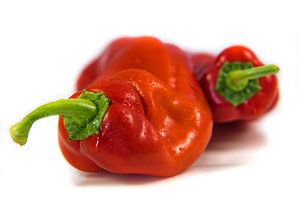 Makro rote Paprikaschoten auf weissem Hintergrund