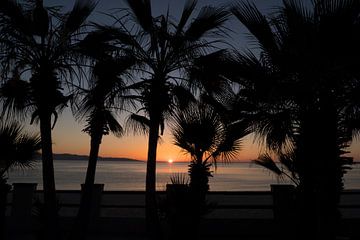 Sunrise in Baja van Liesbeth Vogelzang