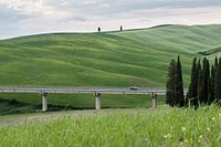 Green grass of Tuscany