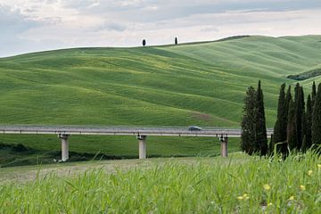 Green grass of Toscane van Marco Linssen