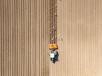 Tractor die de grond bewerkt van bovenaf gezien