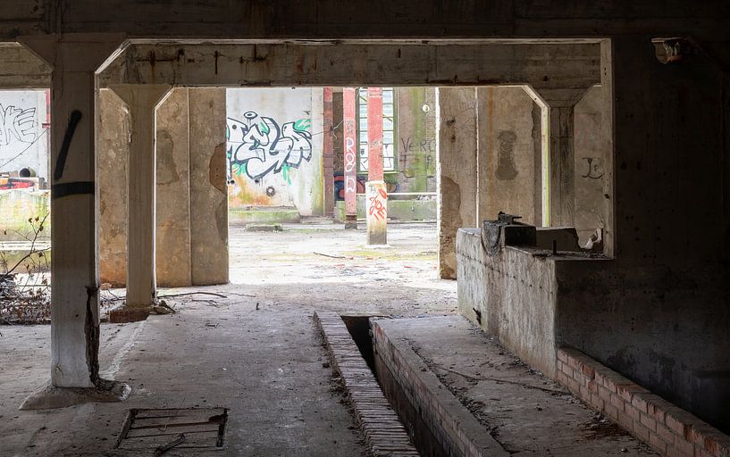 Abandoned concrete production hall with graffiti by Nancy Lamers