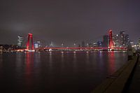 De Willemsbrug Rotterdam in de nacht