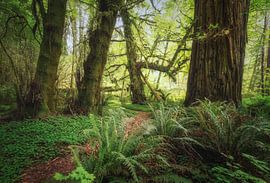 Time stands still by Loris Photography