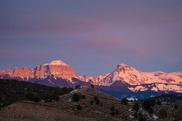 Alpine Glow in the Rocky Mountains