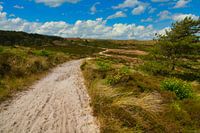Schoorlse Dunes in Noordholland