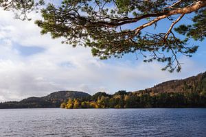 Sur les rives du Loch Insh