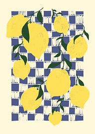 Lemons by Studio Dolci